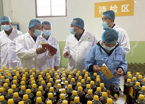 天津市甘肅商會赴武山縣考察，共探農產品與工藝品產銷合作新機遇